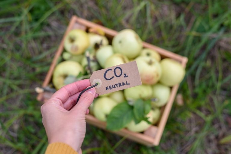 Carlos-César-Floriano-destaca-seminário-sobre-Certificado-Verde