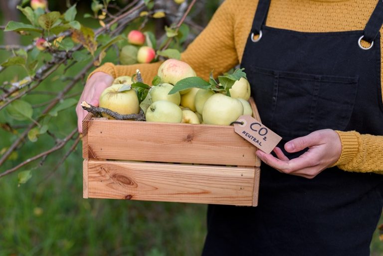 Agropecuária-é-parte-da-solução-para-as-mudanças-climáticas