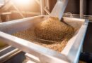 Brasil deve bater recorde de produção de grãos